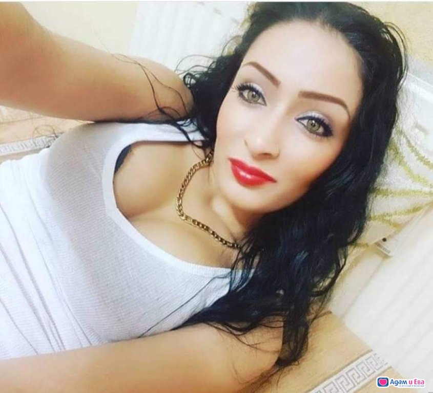 Polly real 