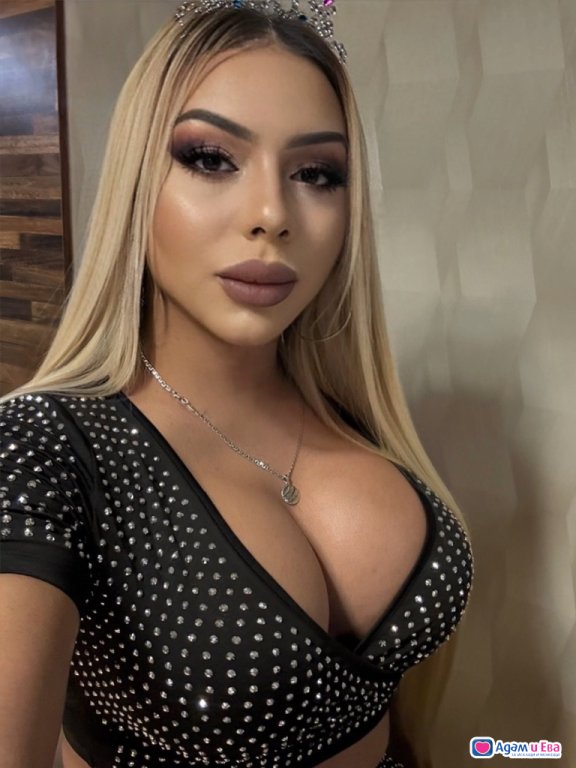 Sofia in brief 