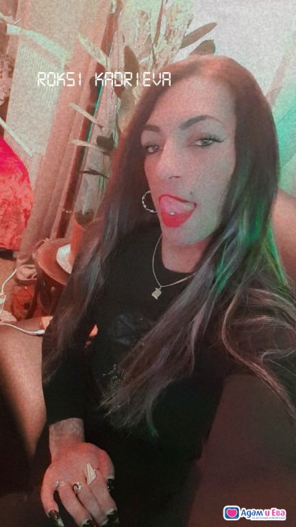 Trans Roxy 