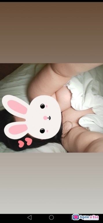 Fluffy bunny wants a carrot