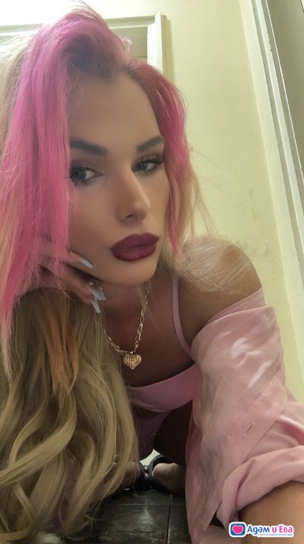 NEW👑PREMIUM❤️TRANS🎀