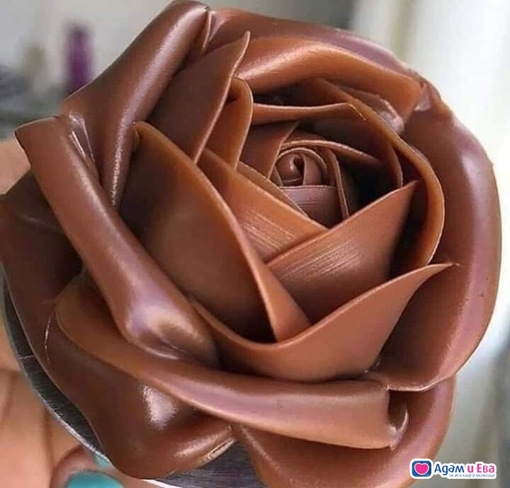 Your chocolate temptation honey, ummm… 