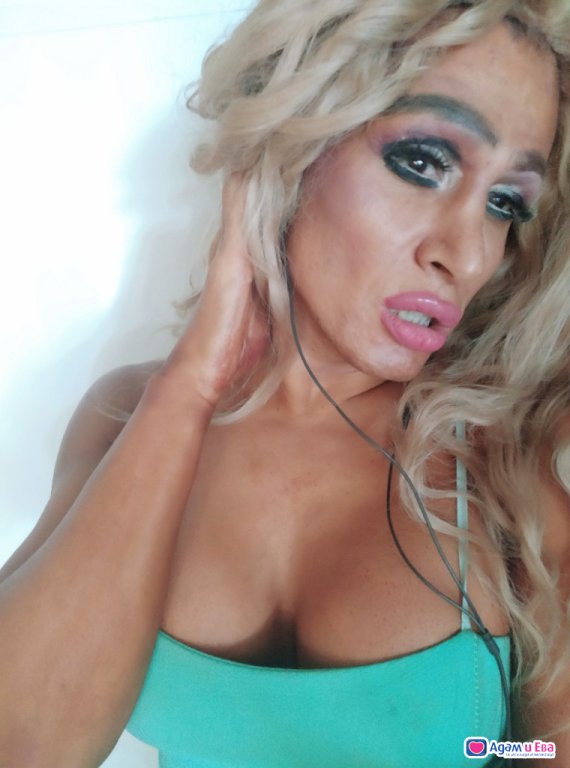  Barbi trans