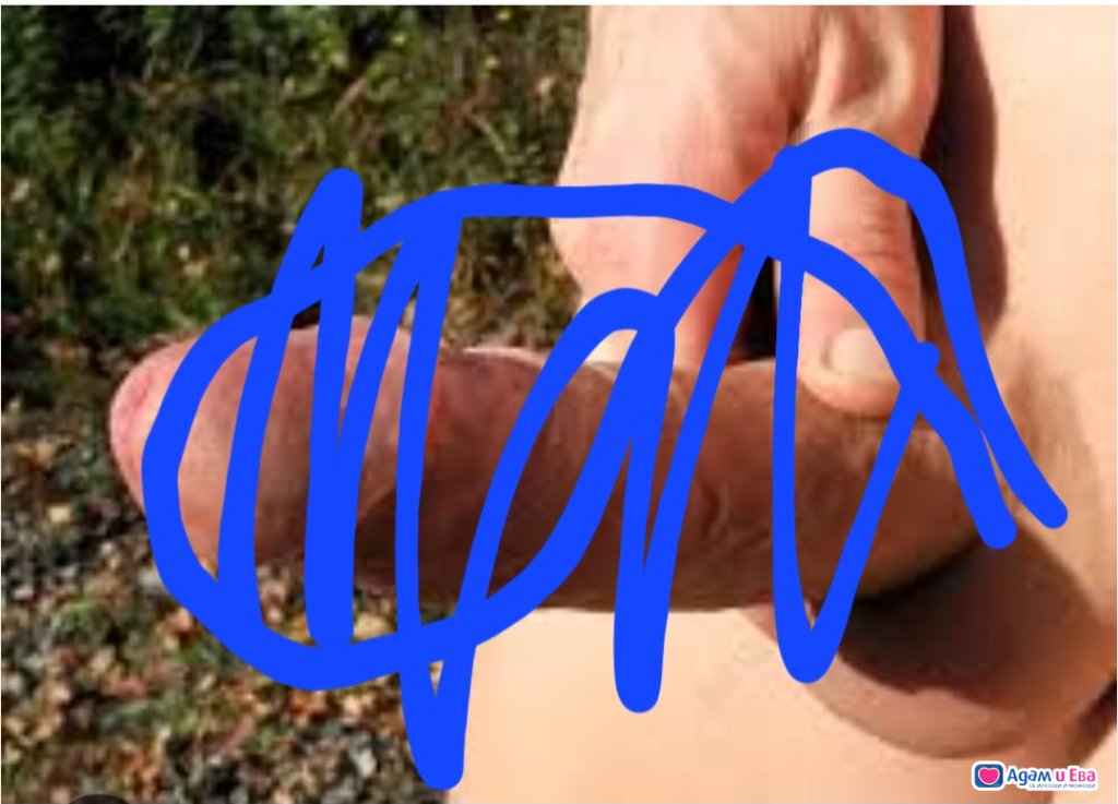 15 cm cock nice and thick and hard