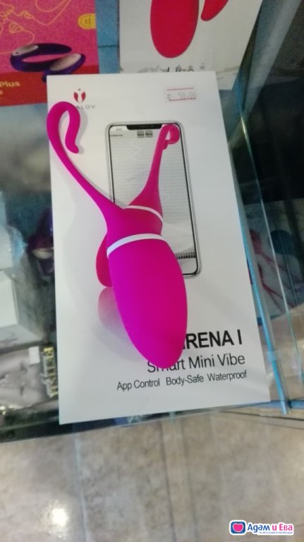 Vibrator vaginal egg with control from a mobile application