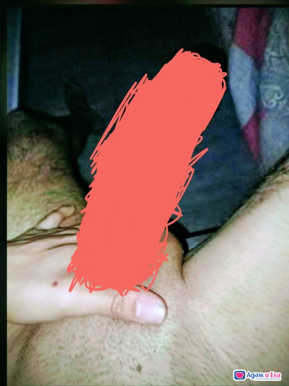  Sex book