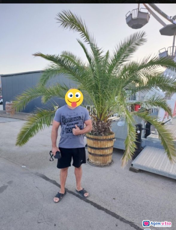 Sex for ladies with 18cm and very thick pictures of ls