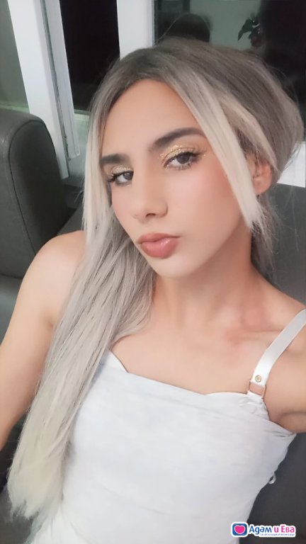 Trans macka 