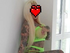 Секси палаво коте 