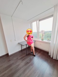 Dani
