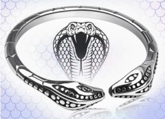 Limited Edition Cooking Ring Endless Snake