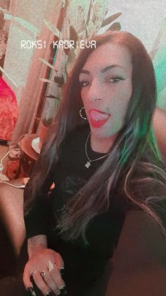 Trans Roxy 