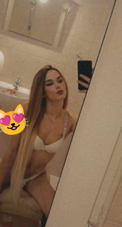 Ново коте в вашият град 😻🩷😻ТРАНС😻🩷😻— Adamieva.info Ново коте в вашият град 😻🩷😻ТРАНС😻🩷😻
