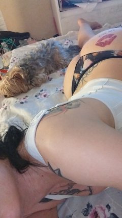 Вип котенце 😺 — Adamieva.info Вип котенце 😺