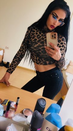          🎀🏆VIP ESCORT🎀🏆