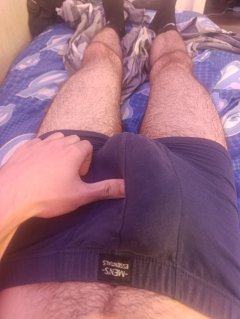 Дебел кур