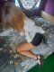At the address and hotel something Real - Снимка 5