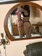   hello  ДВЕ СМЕ ОЧАКВАМЕ ТЕ 🔞⚘️ - Снимка 2