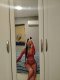 ❤️‍🔥 TOP NEW SIYANA 🥰 ESCORT❤️‍🔥  - Снимка 1