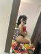 Нова в вашия град елате да се забавляваме заедно🥰🥰🥰 - Снимка 8