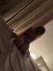 Are you looking for something real and discreet? Come have some  - Снимка 6
