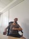 I am looking for naughty women to lick, I offer €100 per night.  - Снимка 5
