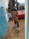 Quick option 15 min 30€ Sex - Снимка 2