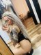 Новото Искушение Тук💋100% Реална🔞🥰  ..💋  - Снимка 3