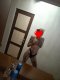 🔥Wild cat🔥✅You can also take advantage of the GFE service  - Снимка 10