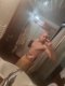 19 y.o escort boy - Снимка 1