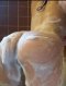 Hello gentlemen, new banboche in the city of Svishtov, I'm looki - Снимка 2