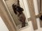 🤍 Your Secret Baby Lilian 🤍 15 min - 50 euro - Снимка 2