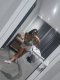 New in your city 🔞❤️🔞 Come and try me🔞💋🔞 - Снимка 11