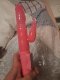 Massager and vibrator for sale - Снимка 3