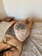 Lidiya❤️ Escort❤️ - Снимка 4