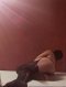 Sexy Djeni - Снимка 2