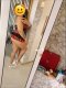 Wet and tight 🫦🔞⛔ - Снимка 4