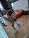 Full program 50€ 30min - Снимка 4