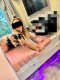 Pamela escort  - Снимка 2