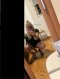 Sexy Mistress, Nicole - Снимка 0