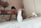 New to you 😘 I'm waiting for you - Снимка 0