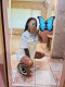 🦋🦋🦋 - Снимка 1