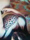 THE GODDESS OF SEX - Снимка 4
