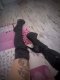 ⭐New-Doll 💯⭐Топ Super Френска без 15мин 30€👌 - Снимка 2