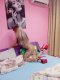 Teddy the sweetie - Снимка 0