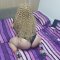Direction Pleven-Ruse Naughty Blondie sex machine - Снимка 11