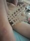 9 inch 20CM and (26cm) COUPLES for COUPLES who want me to fuck t - Снимка 0