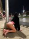 Коя иска да ѝ разтреперя коленцата 🫦 - Снимка 5