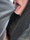 Палава двойка за онлайн забавления 🥵🥵🥵 - Снимка 5