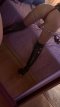 ♥️🐈‍⬛Crystail Maiden Onlyfansemodel🐈‍⬛♥️ - Снимка 2